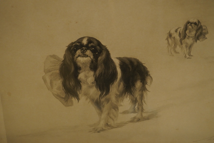 Maud Earl (1863-1943), lithograph, two Cavalier King Charles Spaniels, published by the Berlin Photographic Co., 1903, signed in pencil, 26 x 34cm
